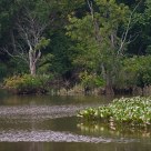 Anacostia River